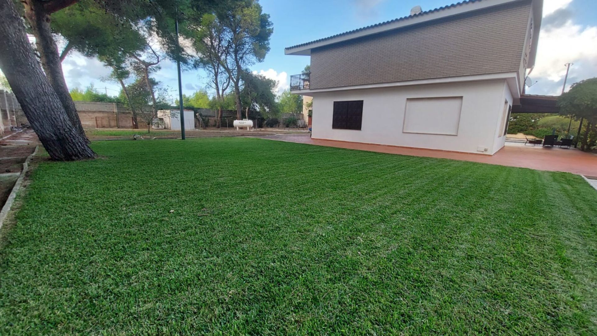 Ampio giardino con prato verde e pini mediterranei
